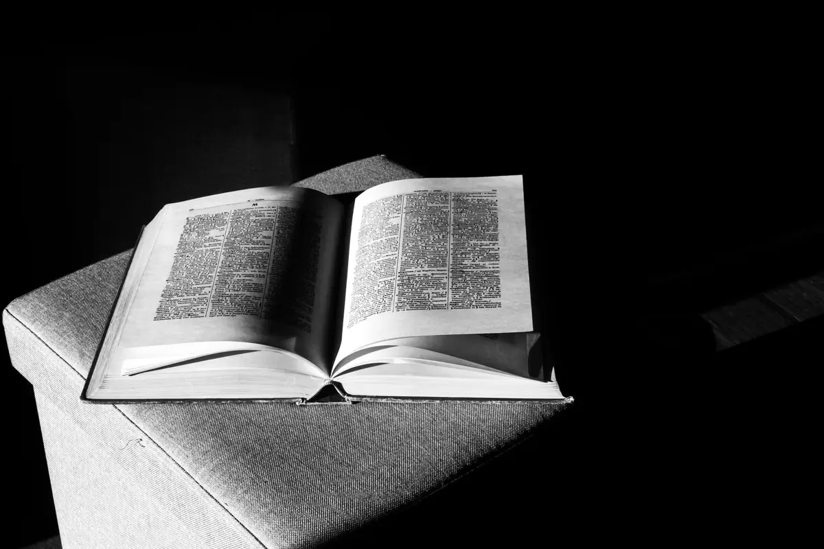 Karanlık zeminde ışık alan açık bir kitap